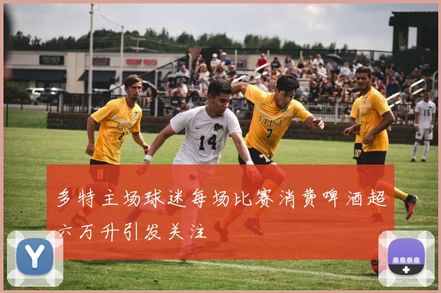 多特主场球迷每场比赛消费啤酒超六万升引发关注