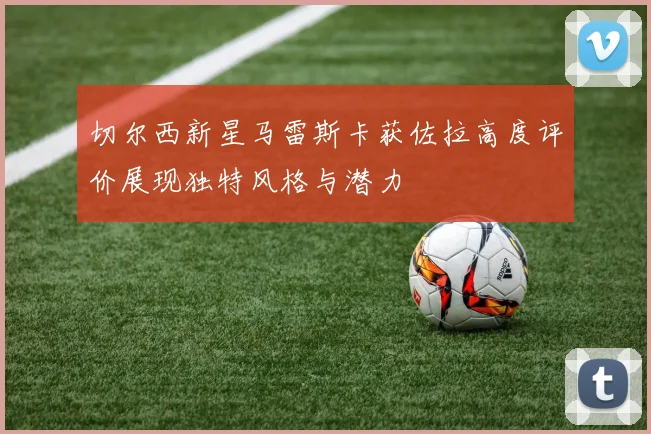 切尔西新星马雷斯卡获佐拉高度评价展现独特风格与潜力